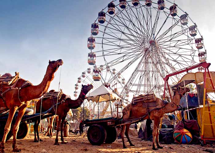 A Journey through the Camel Fair and Sacred Serenity – Pushkar