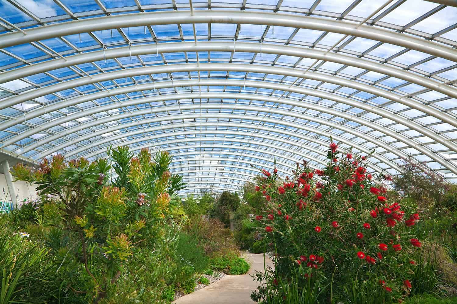 National Botanical Garden in Bangladesh