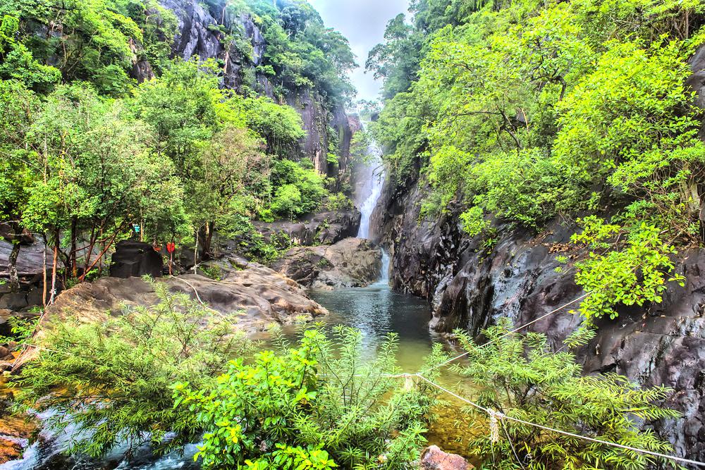 Klong Plu Rainforest – Koh Chang  In Thailand