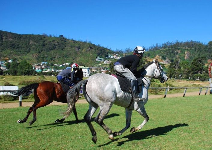 Horseback Riding – Nuwara Eliya