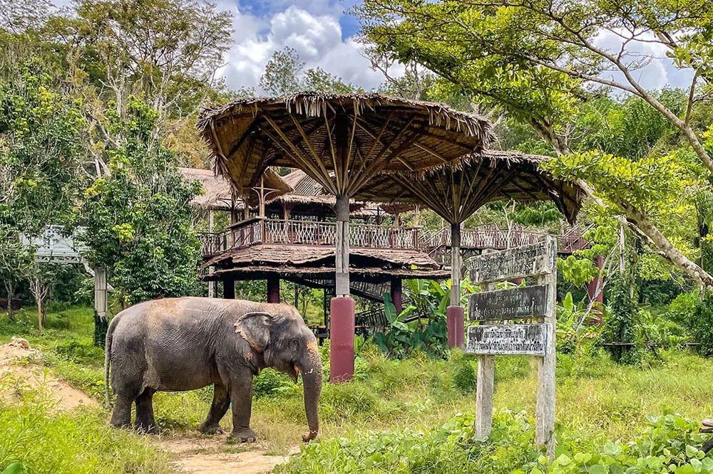 Phuket Elephant Sanctuary – Thailand