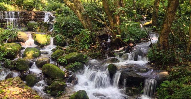 Shivapuri National Park in Nepal