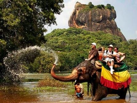 Majestic Elephant Experience near the Fortress – Sigiriya