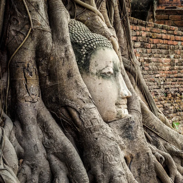 Wat Mahathat In Bangkok