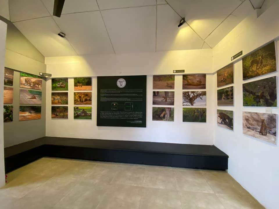 Leopard Research Museum – Yala National Park In Sri Lanka