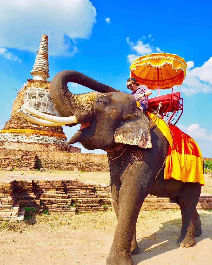 Ayutthaya Elephantstay in Thailand