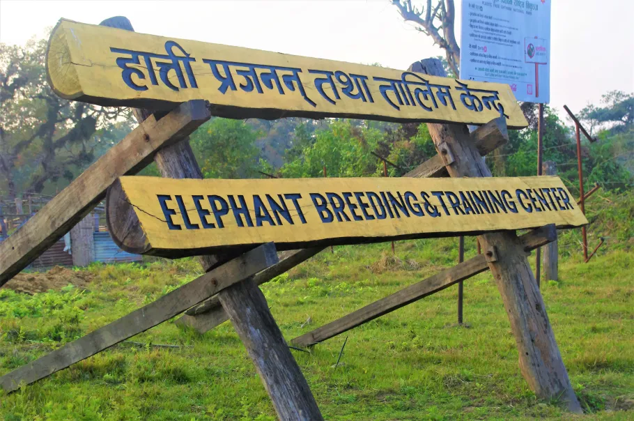 Chitwan Elephant Breeding Center in Nepal